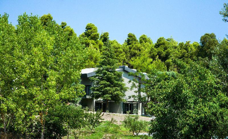 Sani More & Sani Woods (Adults Only) Exterior photo